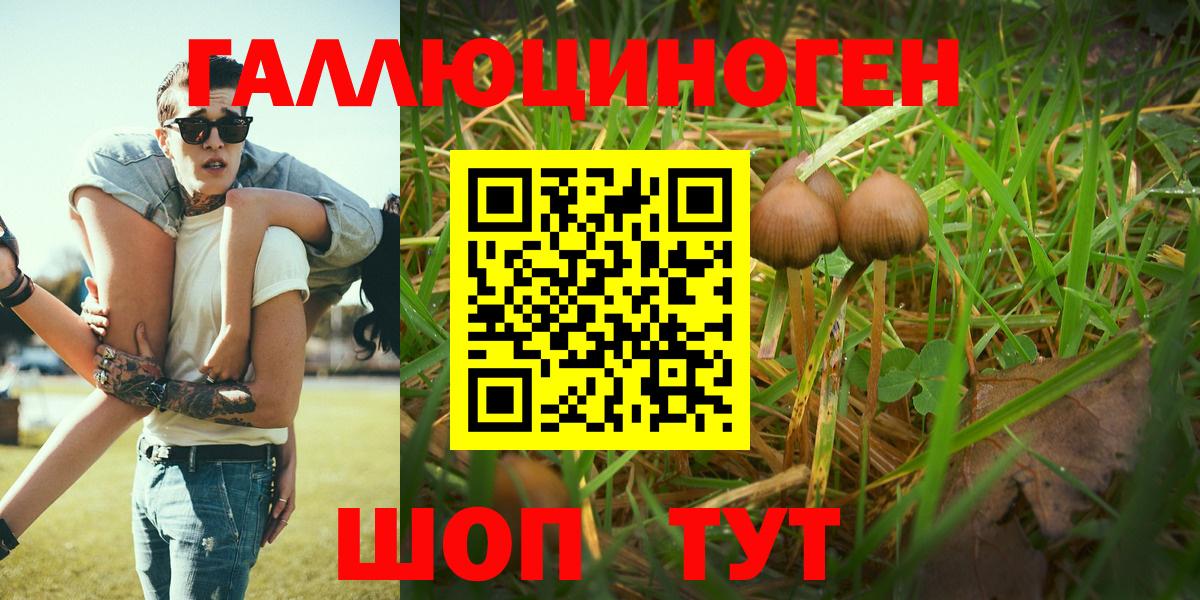 Псилоцибиновые грибы GOLDEN TEACHER Камышин