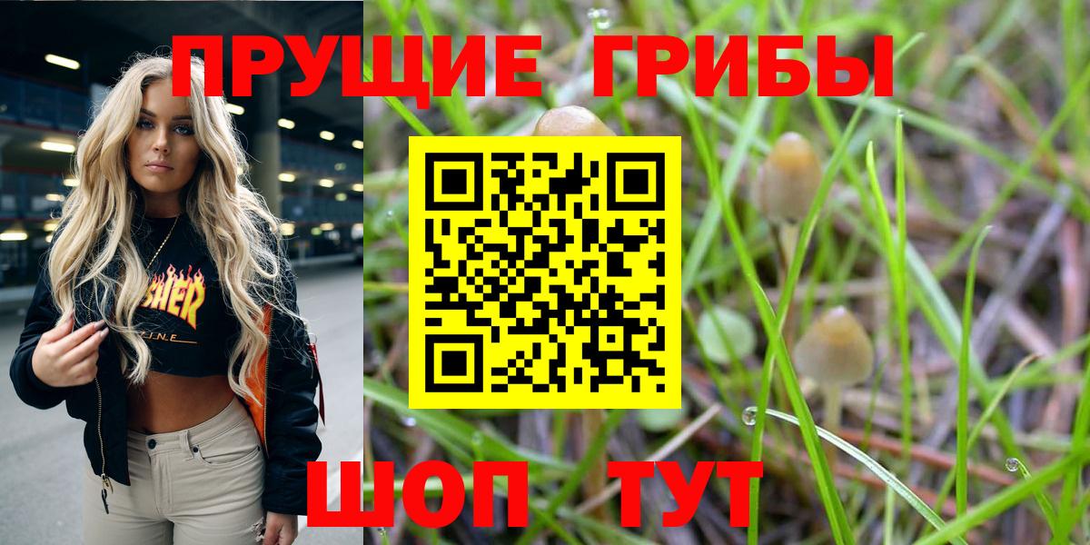 Псилоцибиновые грибы Psilocybine cubensis  Галлюциногенные грибы мицелий  Вход с VPN  Камышин 